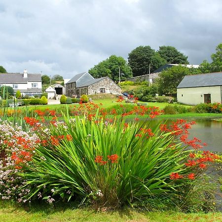 Polhilsa Farm Bed & Breakfast Callington Luaran gambar