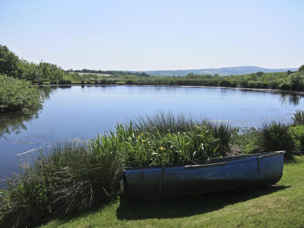 Polhilsa Farm Bed & Breakfast Callington Luaran gambar
