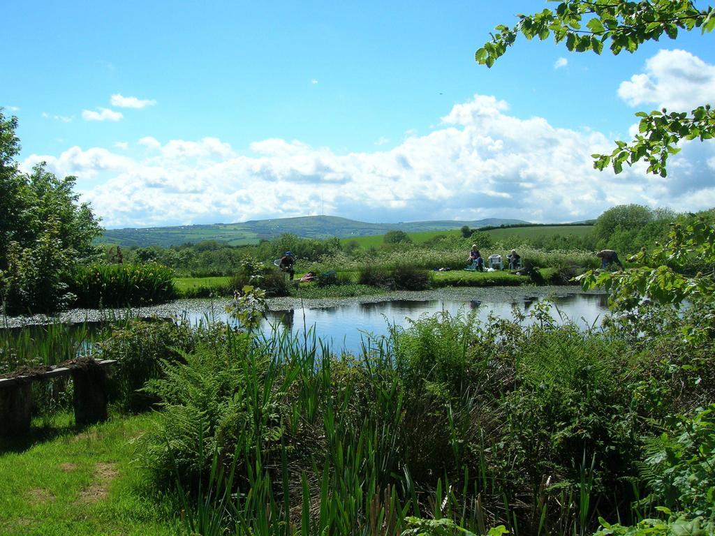 Polhilsa Farm Bed & Breakfast Callington Luaran gambar
